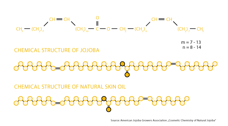 CHEMICAL STRUCTURE OF JOJOBA